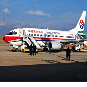 新巴尔虎右旗宝格德空运公司航空快运业稳步发展的原因是什么？